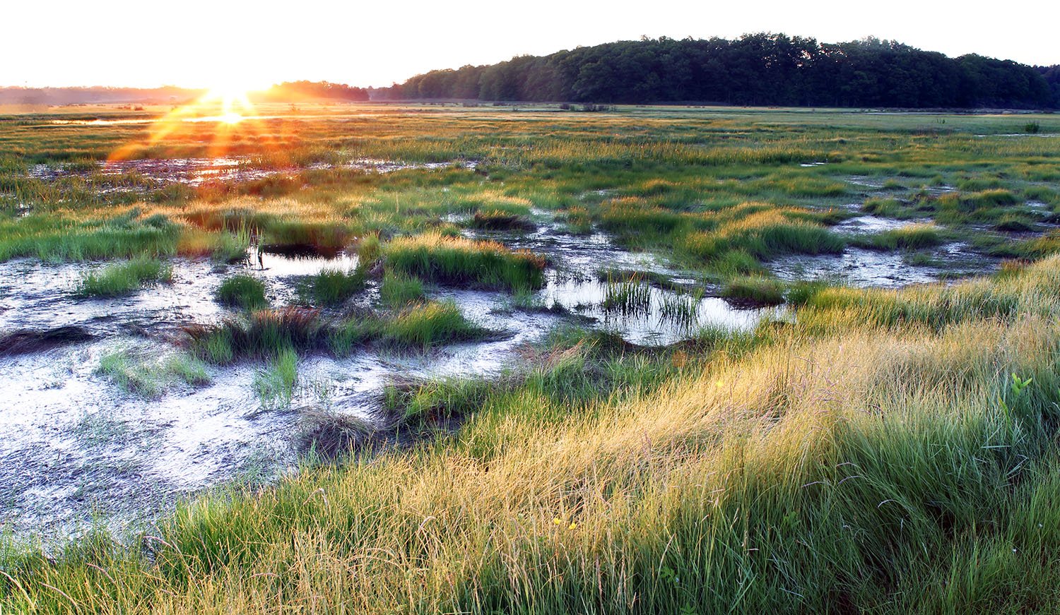A Piece of Something Great – The Story of the Marsh