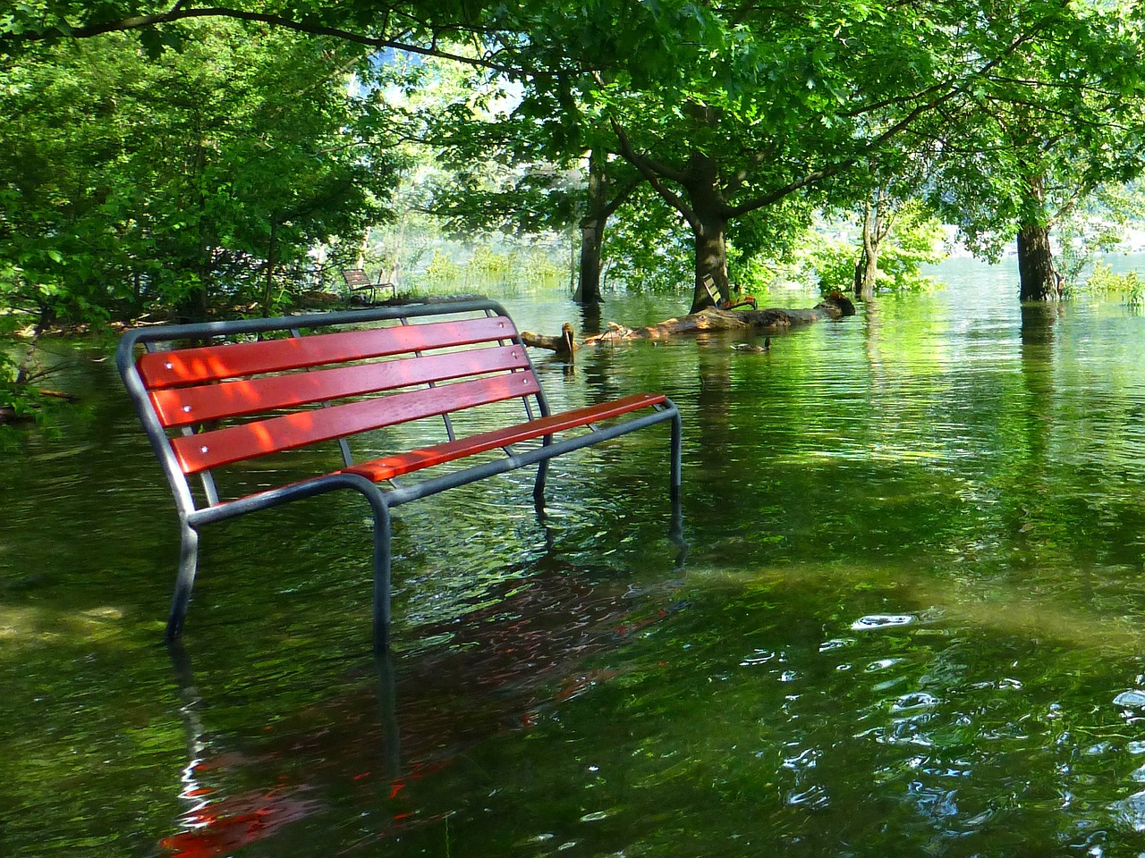 Photo of a park bench in a flooded area.